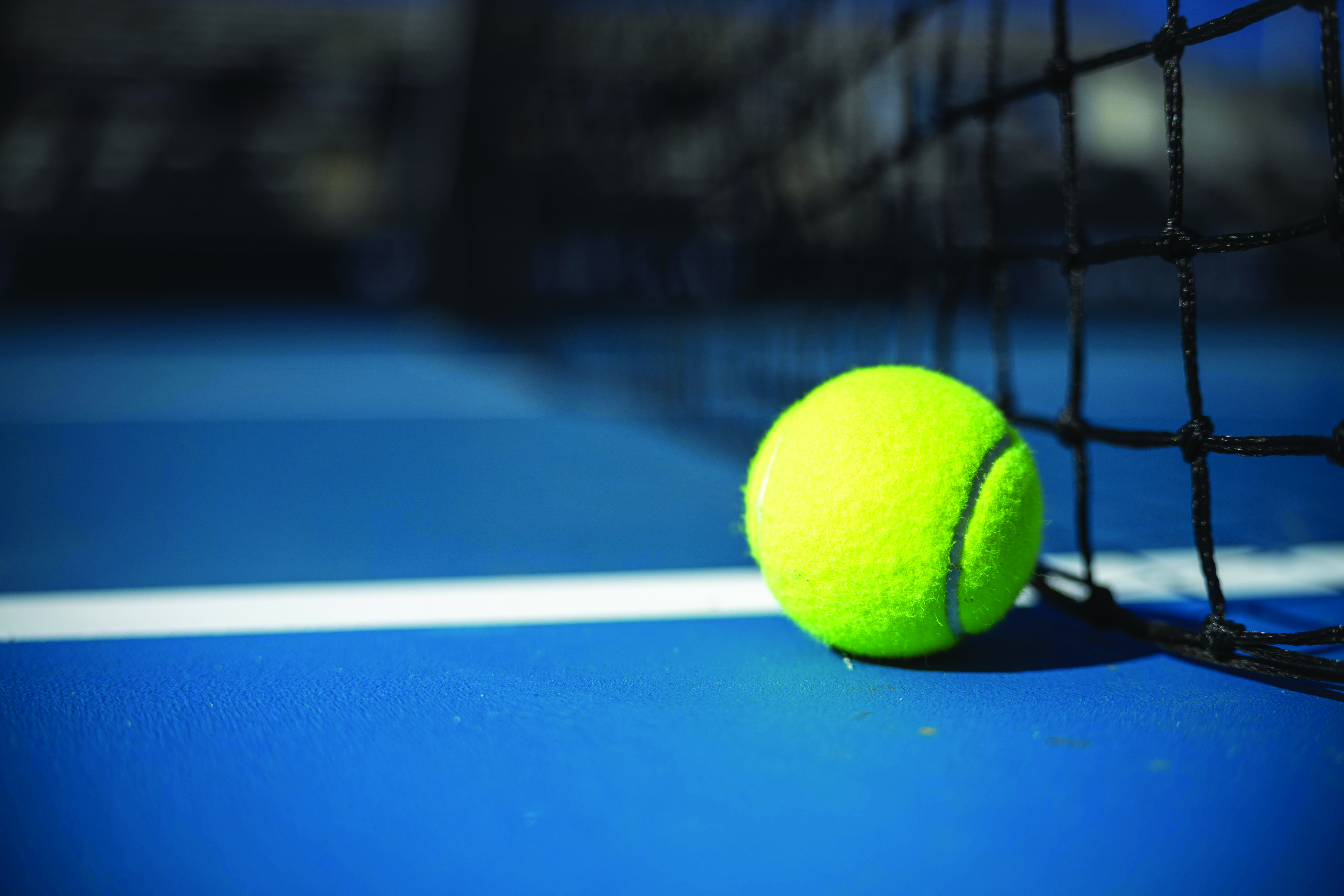 Tennis ball and net on blue court, original supplied by Michael Scotta