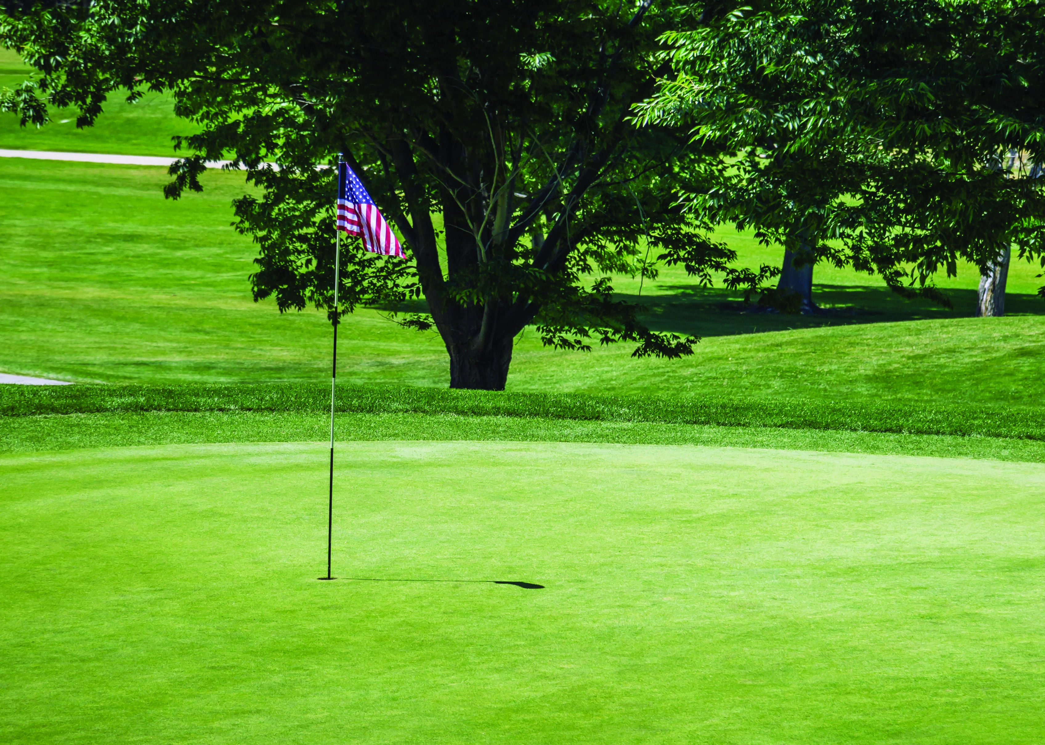 Supplied Senior Open brochure golf photograph
