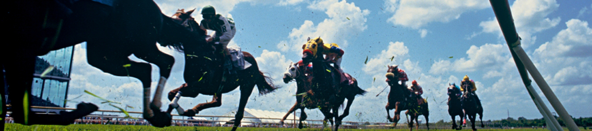 Event-Horse